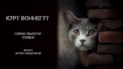 Воннегут Курт - Сейчас вылетит птичка - Читать книги онлайн | Слушать аудиокниги онлайн | Электронная библиотека books-lib.com
