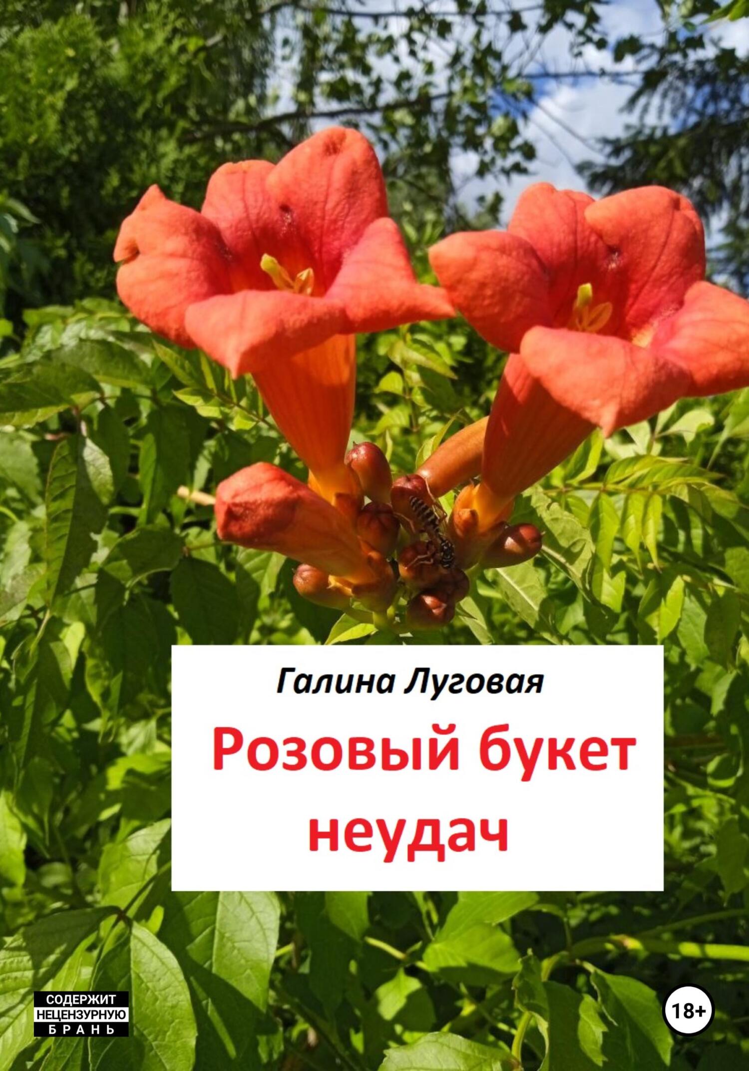 Розовый букет неудач - Галина Луговая - Читать книги онлайн | Слушать аудиокниги онлайн | Электронная библиотека books-lib.com