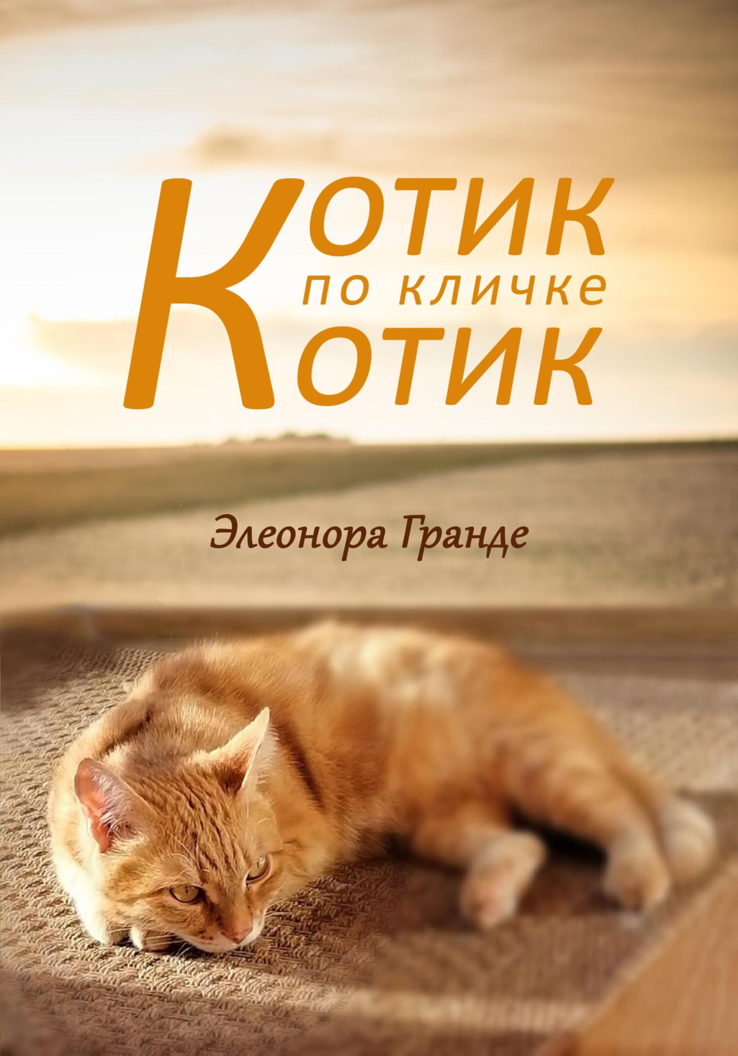 Котик по кличке Котик - Элеонора Гранде - Читать книги онлайн | Слушать аудиокниги онлайн | Электронная библиотека books-lib.com