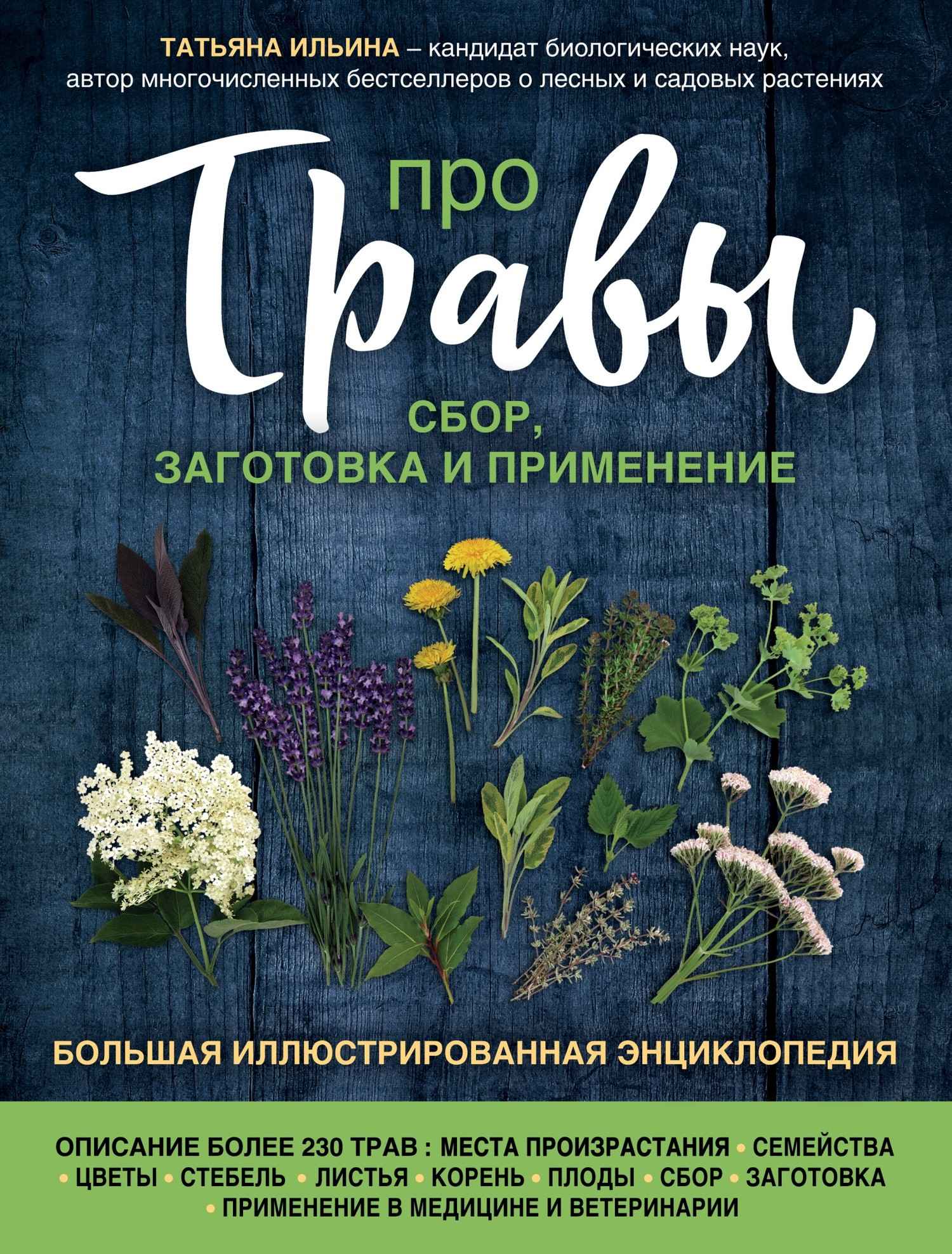 Про травы. Сбор, заготовка и применение. Большая иллюстрированная энциклопедия - Татьяна Александровна Ильина - Читать книги онлайн | Слушать аудиокниги онлайн | Электронная библиотека books-lib.com