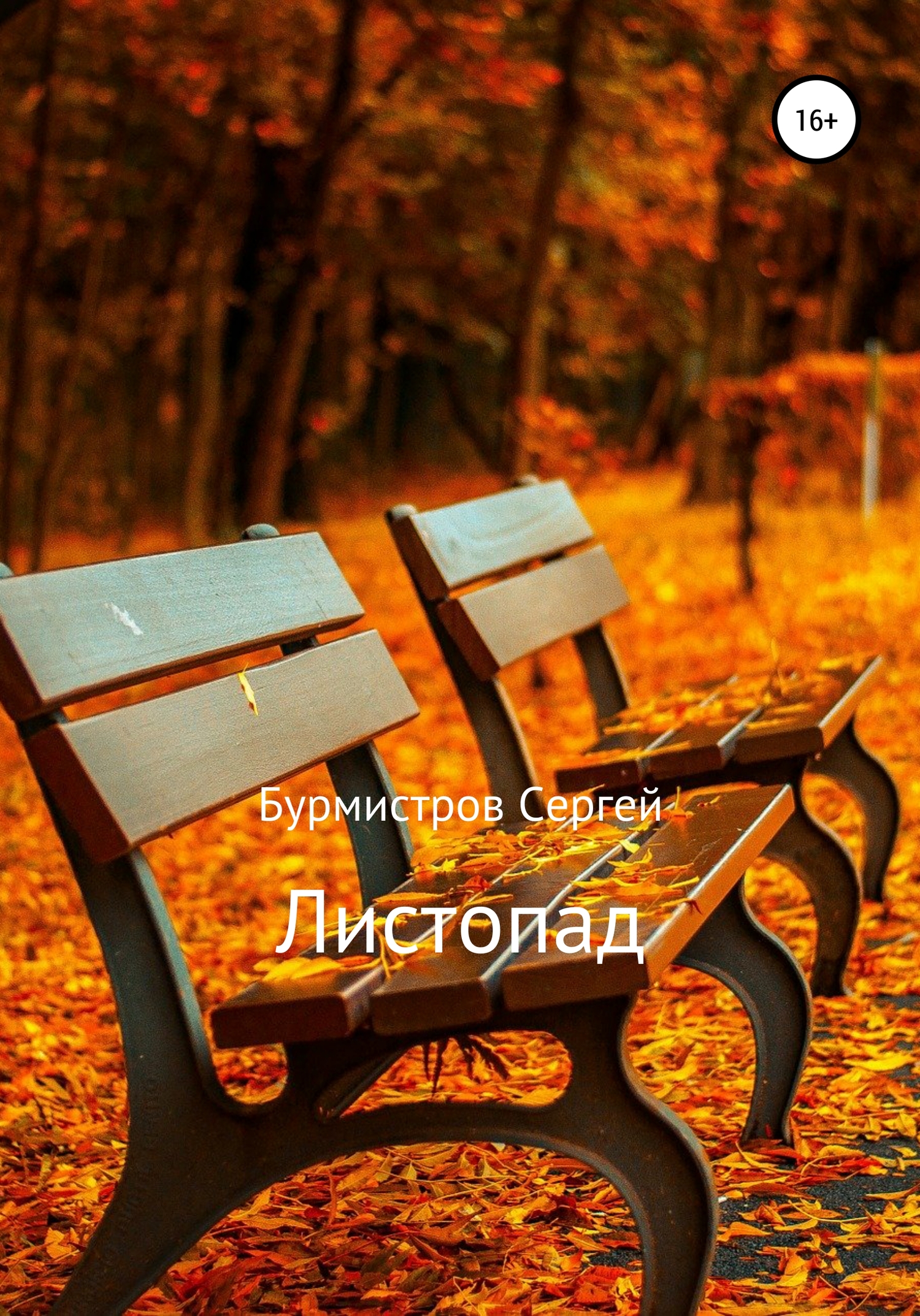 Листопад - Сергей Васильевич Бурмистров - Читать книги онлайн | Слушать аудиокниги онлайн | Электронная библиотека books-lib.com