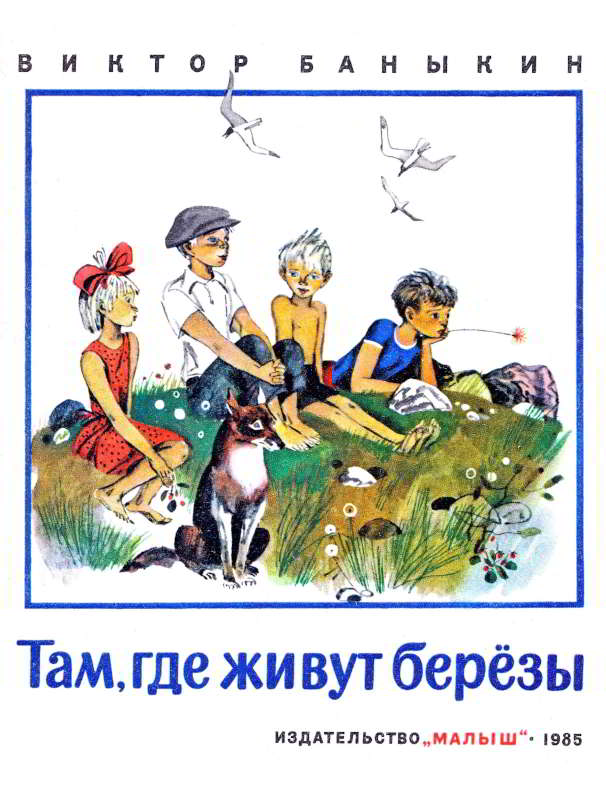 Там, где живут березы - Виктор Иванович Баныкин - Читать книги онлайн | Слушать аудиокниги онлайн | Электронная библиотека books-lib.com