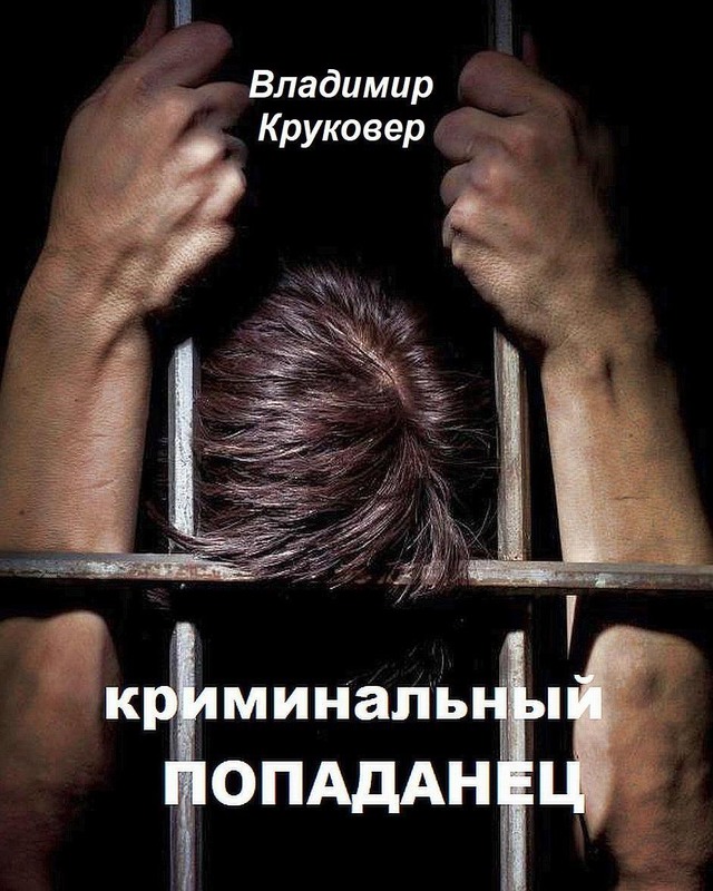 Криминальный попаданец - Владимир Исаевич Круковер - Читать книги онлайн | Слушать аудиокниги онлайн | Электронная библиотека books-lib.com