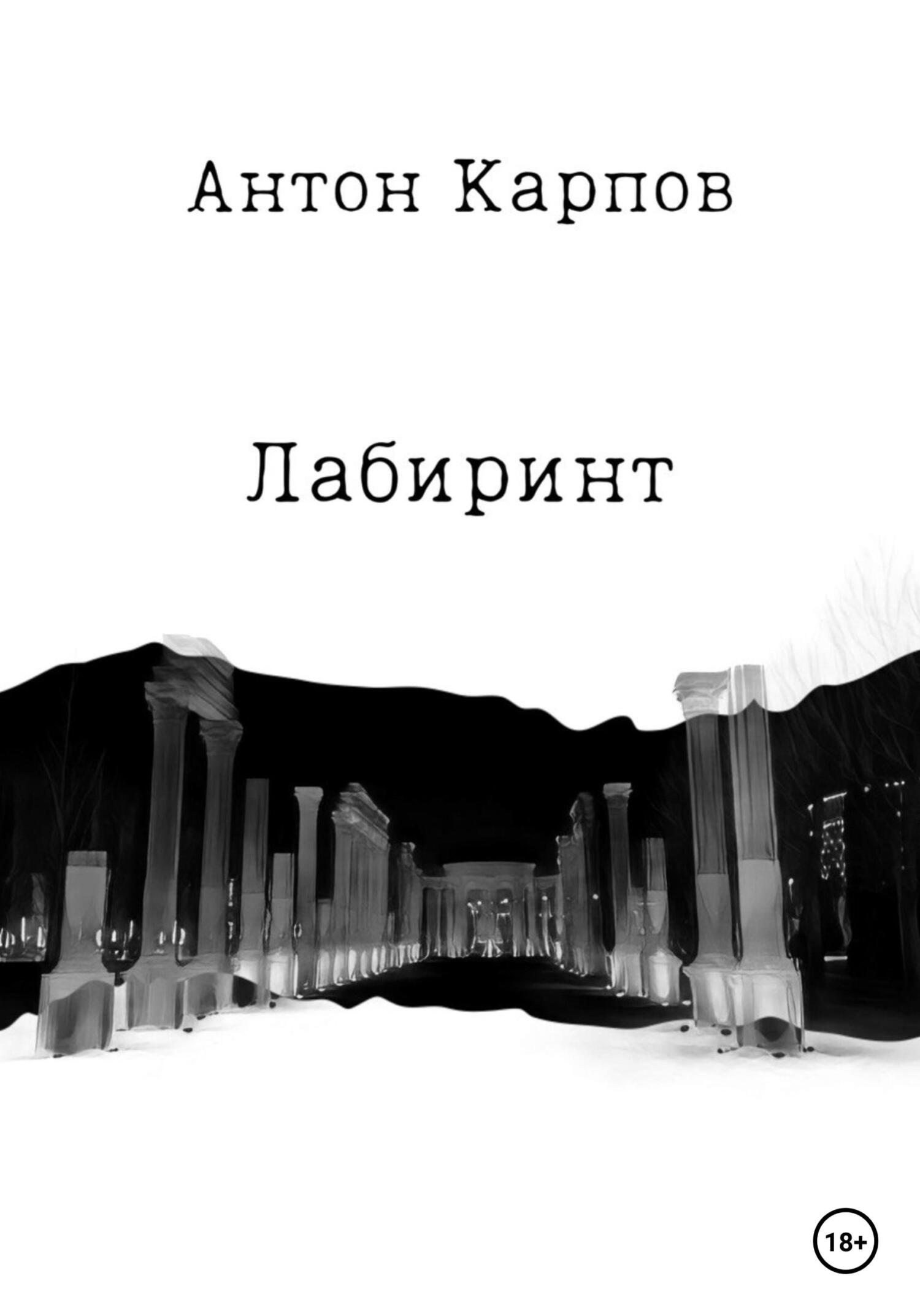 Лабиринт - Антон Олегович Карпов - Читать книги онлайн | Слушать аудиокниги онлайн | Электронная библиотека books-lib.com