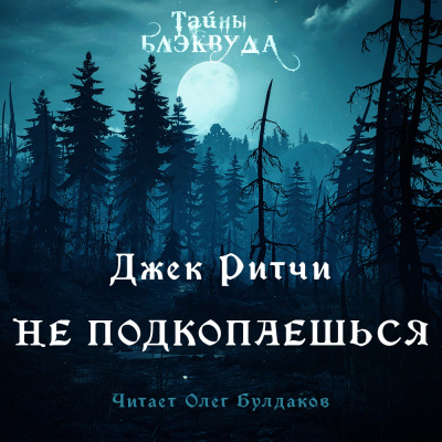 Ритчи Джек - Не подкопаешься - Читать книги онлайн | Слушать аудиокниги онлайн | Электронная библиотека books-lib.com