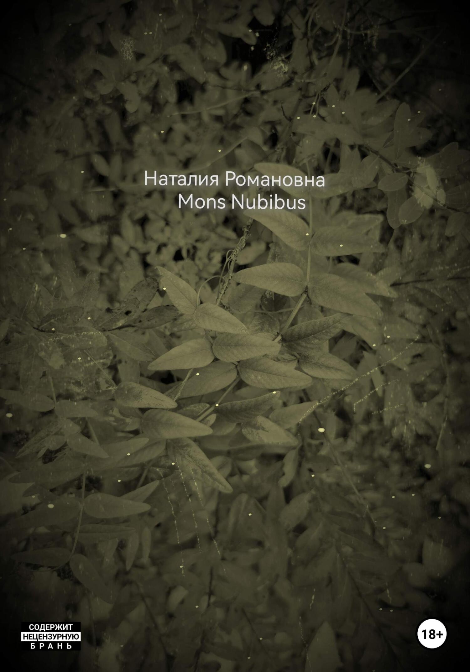 Mons Nubibus - Наталия Романовна - Читать книги онлайн | Слушать аудиокниги онлайн | Электронная библиотека books-lib.com