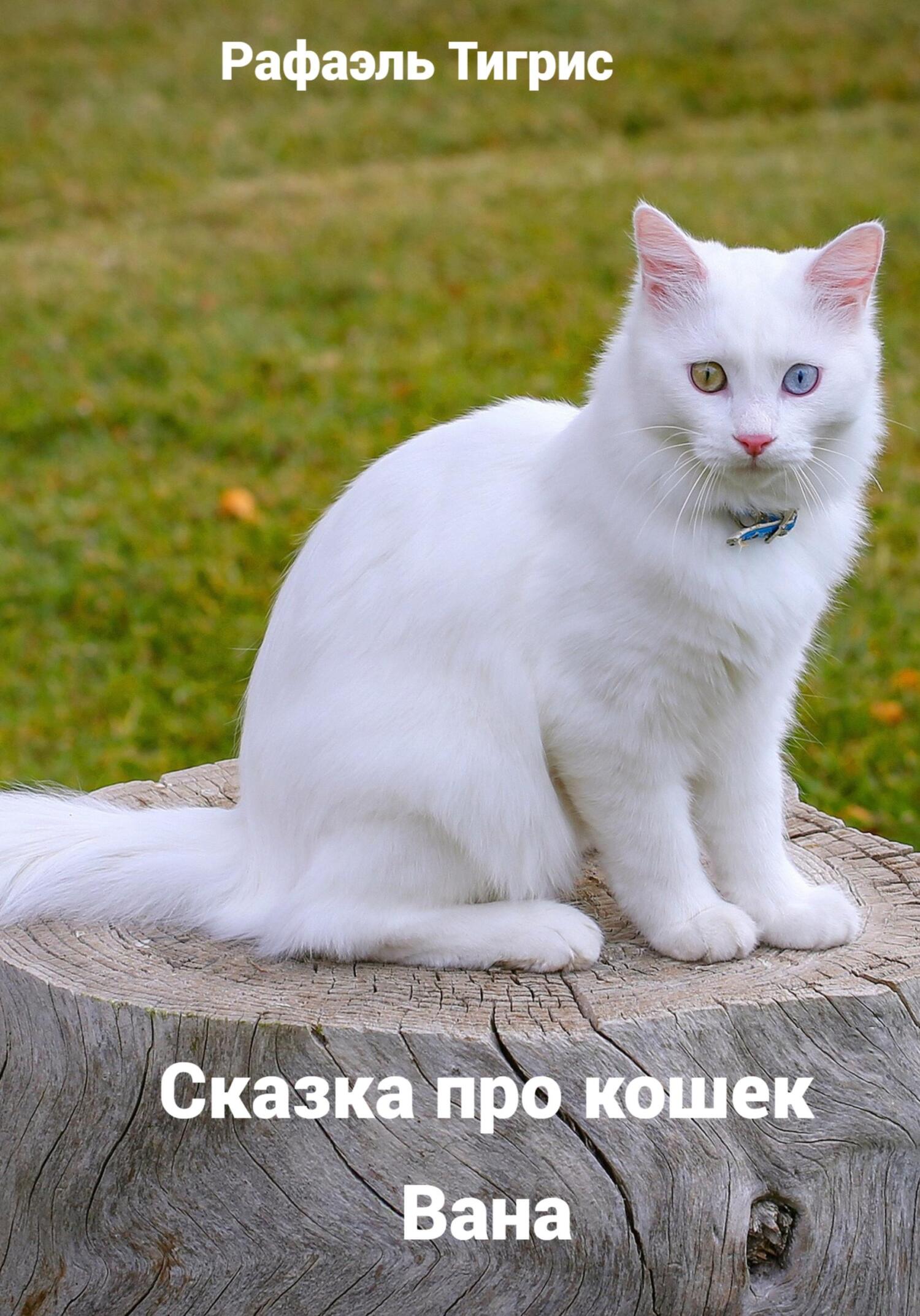 Сказка про кошек Вана - Тигрис Рафаэль - Читать книги онлайн | Слушать аудиокниги онлайн | Электронная библиотека books-lib.com