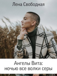 Ангелы Вита: ночью все волки серы - Елена Свободная - Читать книги онлайн | Слушать аудиокниги онлайн | Электронная библиотека books-lib.com