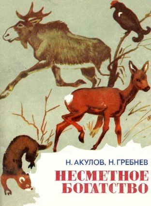 Несметное богатство[сборник] - Николай Селиверстович Акулов - Читать книги онлайн | Слушать аудиокниги онлайн | Электронная библиотека books-lib.com