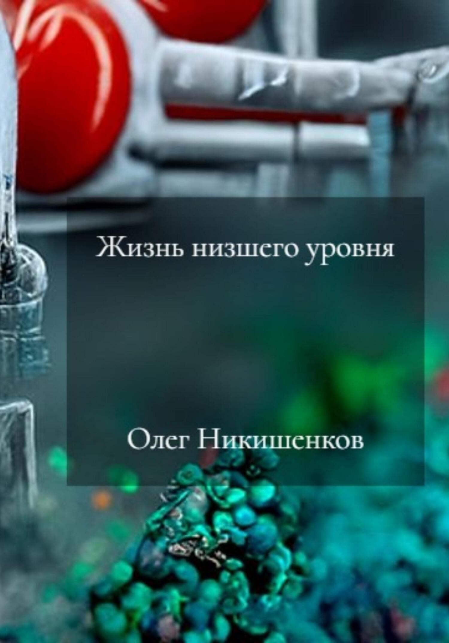 Жизнь низшего уровня - Олег Никишенков - Читать книги онлайн | Слушать аудиокниги онлайн | Электронная библиотека books-lib.com