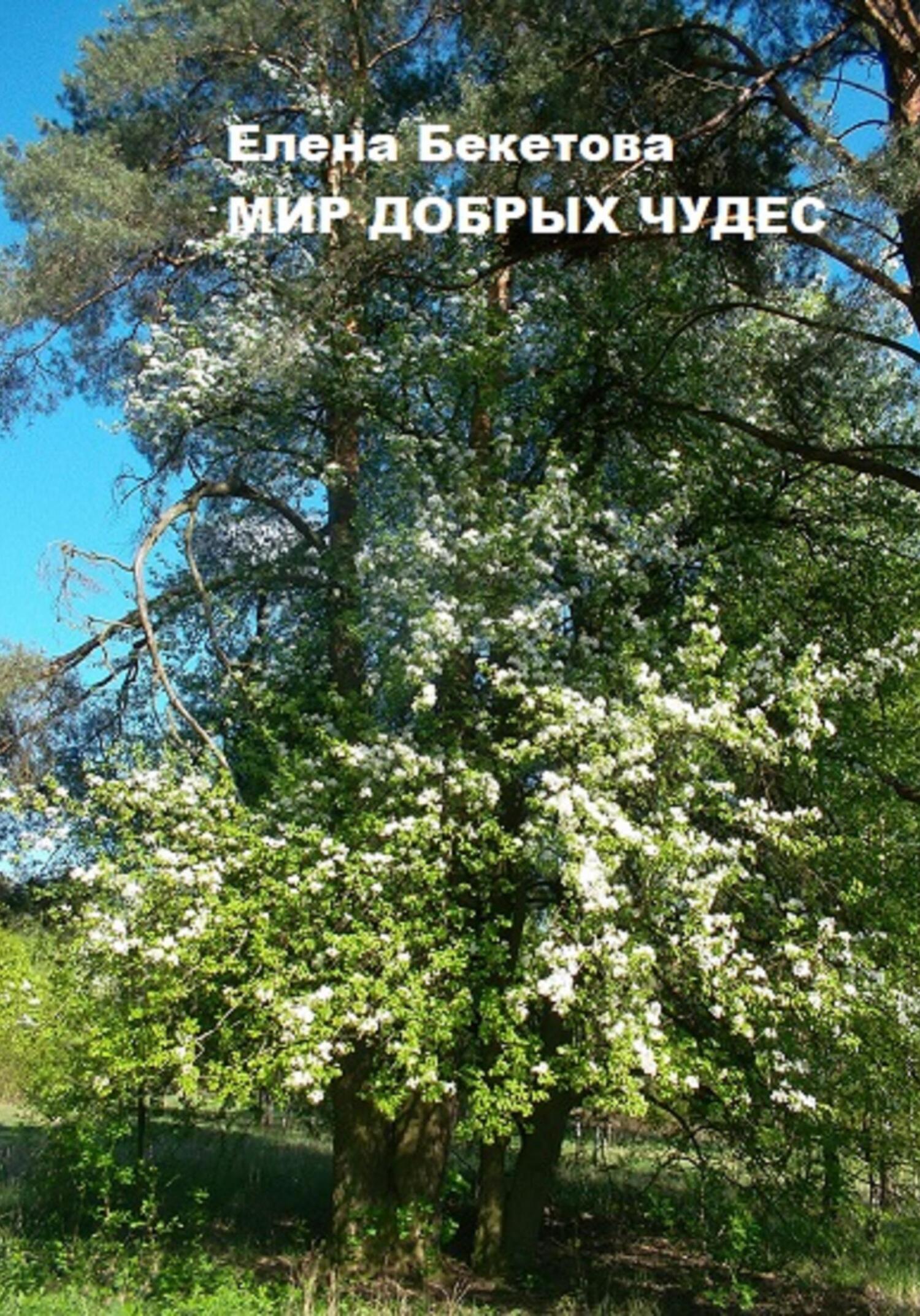 Мир добрых чудес - Елена Юрьевна Бекетова - Читать книги онлайн | Слушать аудиокниги онлайн | Электронная библиотека books-lib.com