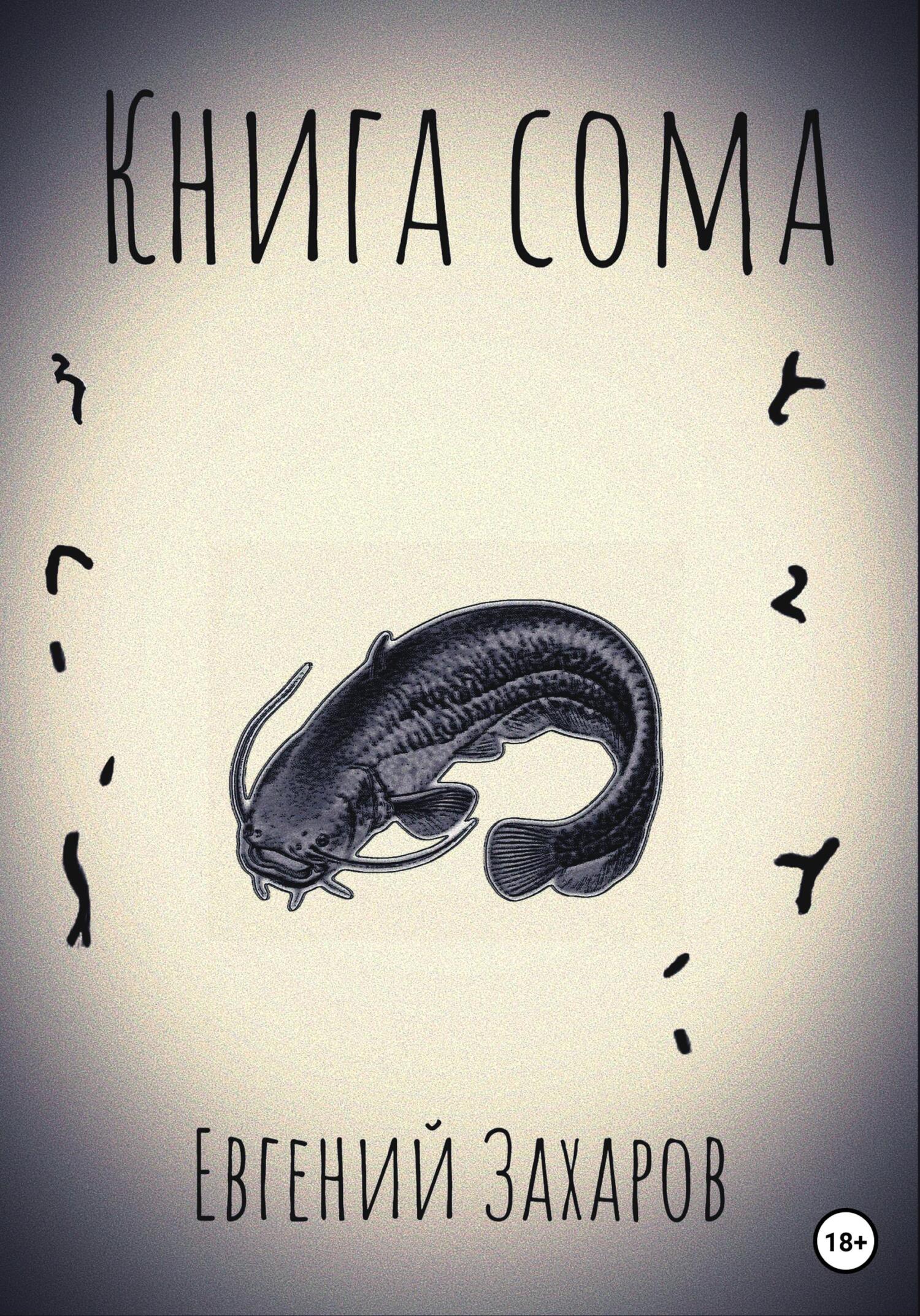 Книга сома - Евгений Владимирович Захаров - Читать книги онлайн | Слушать аудиокниги онлайн | Электронная библиотека books-lib.com