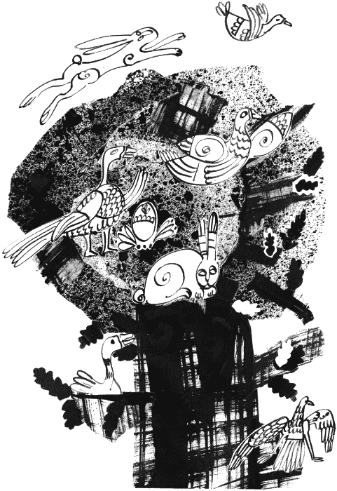 Гимназия №13 Гимназия №13