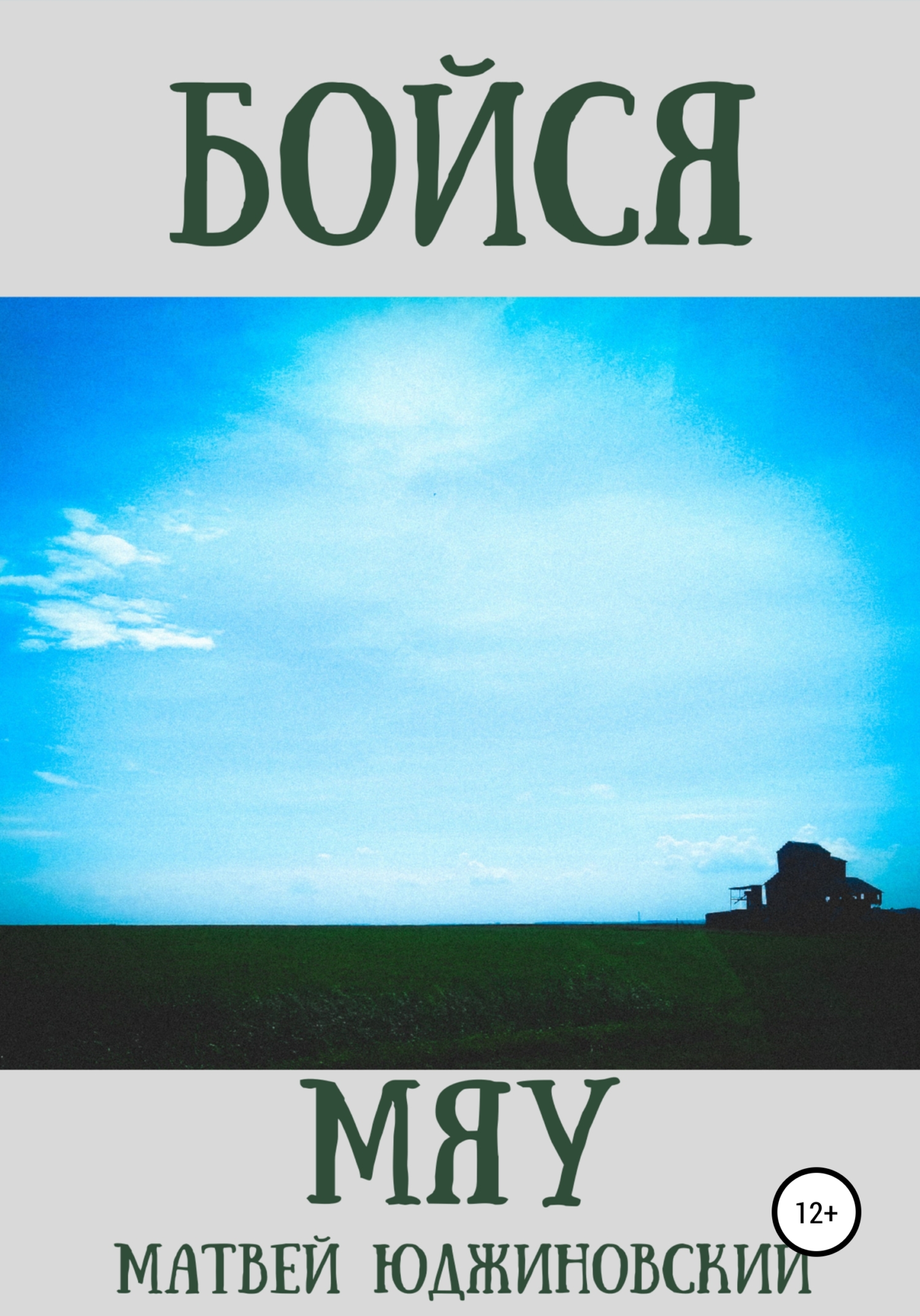 Бойся мяу - Матвей Юджиновский - Читать книги онлайн | Слушать аудиокниги онлайн | Электронная библиотека books-lib.com