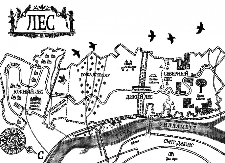 Дикий лес Дикий лес