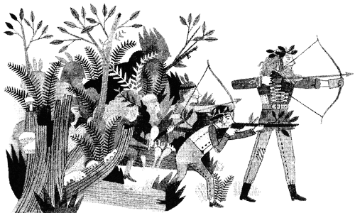 Дикий лес Дикий лес