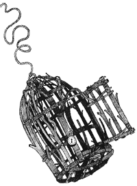 Дикий лес Дикий лес