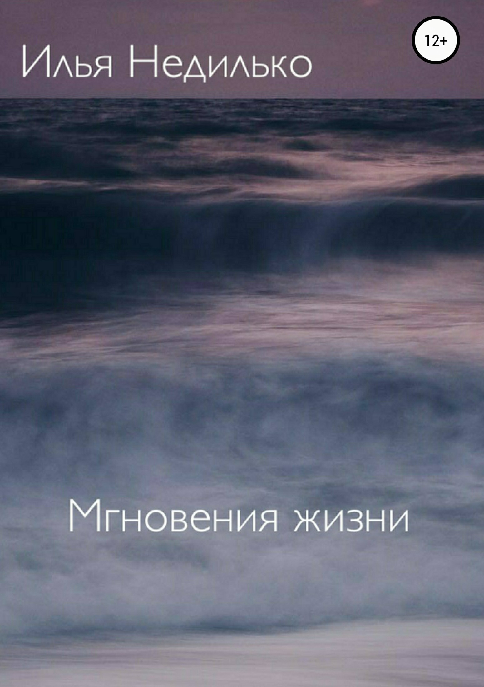 Мгновения жизни - Илья Недилько - Читать книги онлайн | Слушать аудиокниги онлайн | Электронная библиотека books-lib.com