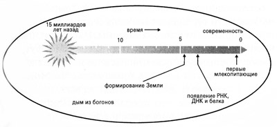 На фейсбуке с сыном На фейсбуке с сыном