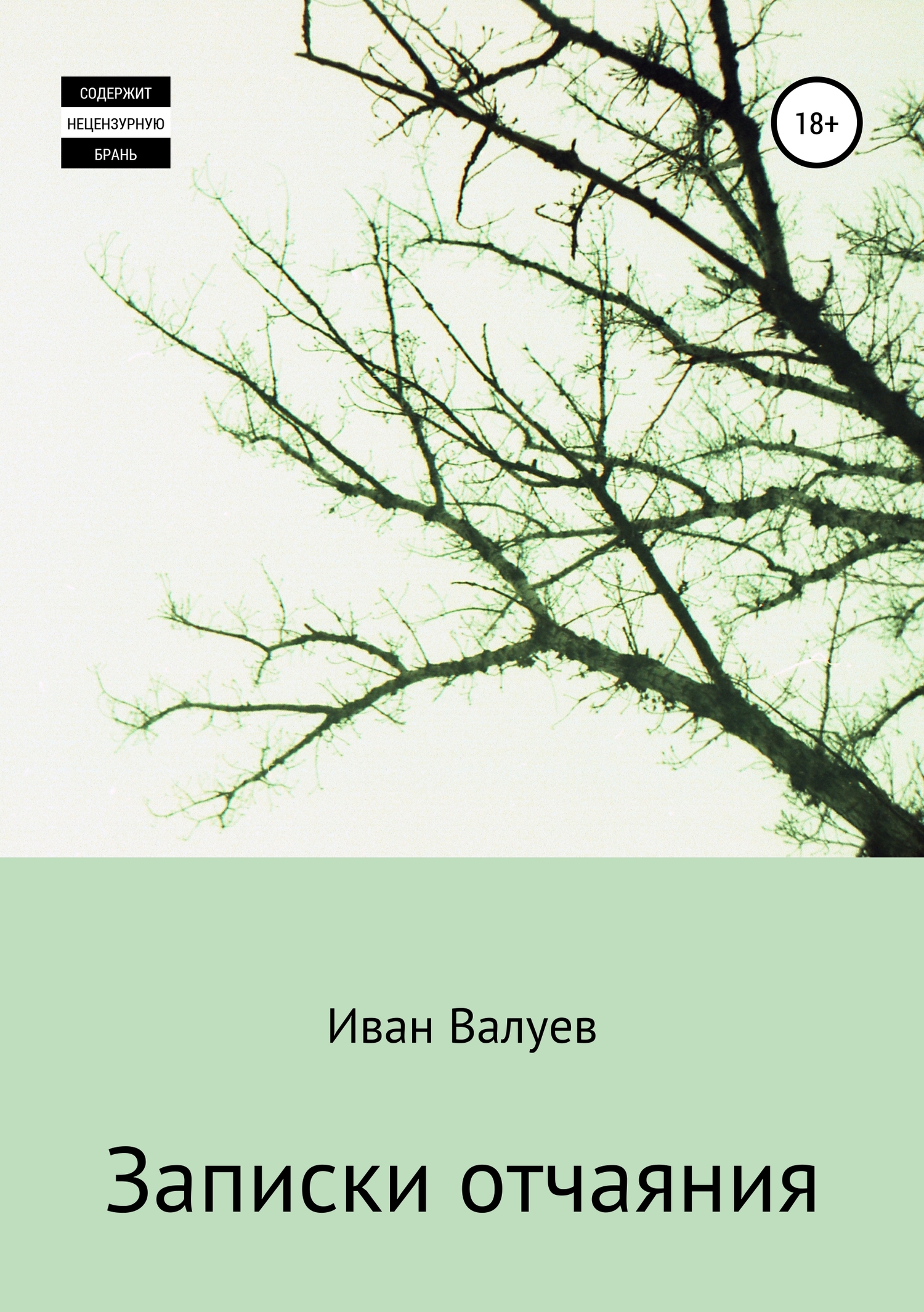 Записки отчаяния - Иван Александрович Валуев - Читать книги онлайн | Слушать аудиокниги онлайн | Электронная библиотека books-lib.com
