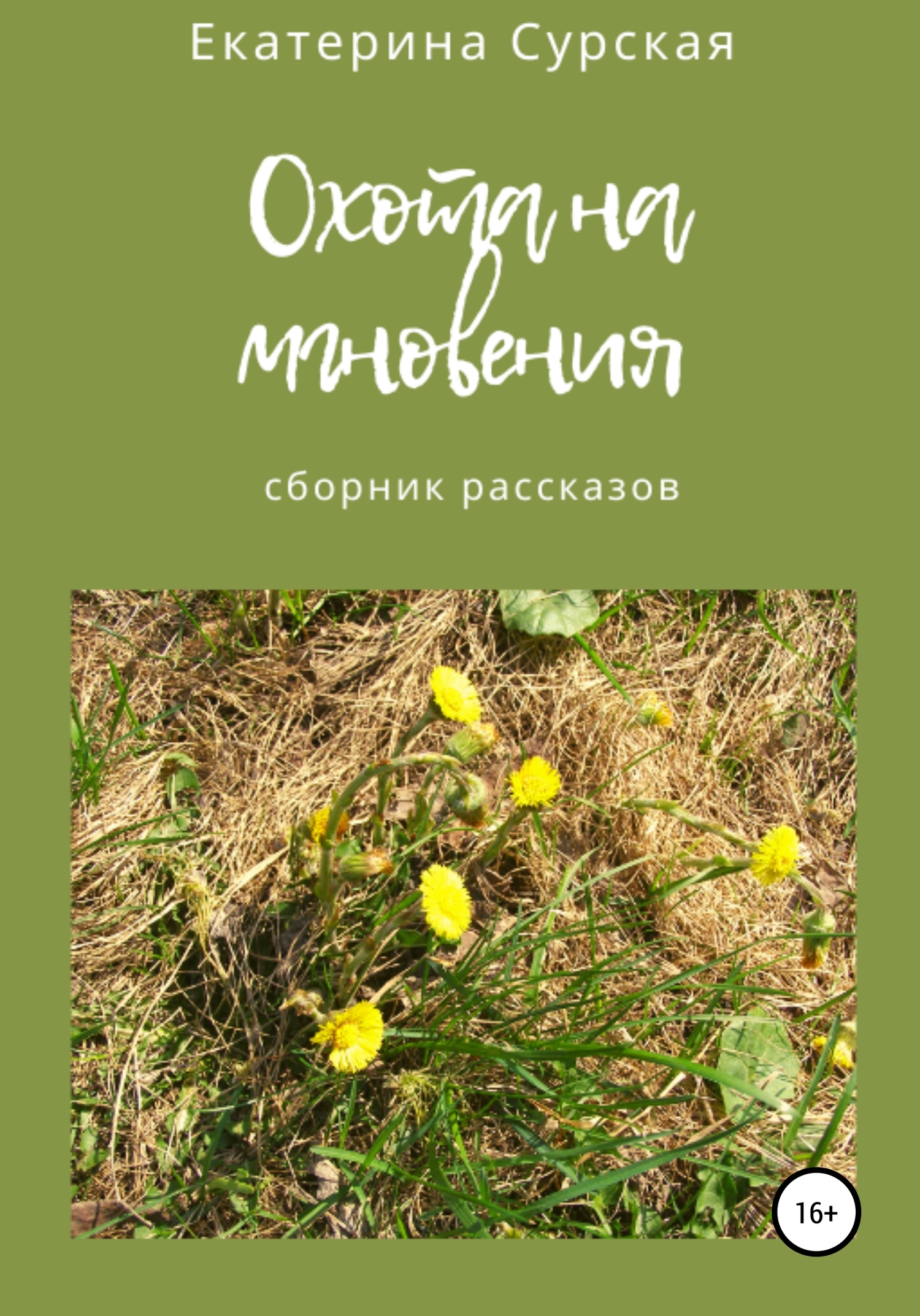 Охота на мгновения. Сборник рассказов - Екатерина Сурская - Читать книги онлайн | Слушать аудиокниги онлайн | Электронная библиотека books-lib.com