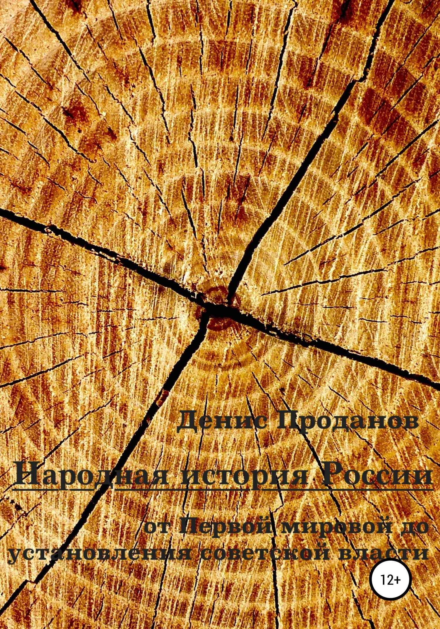 Народная история России. От Первой мировой до установления советской власти - Денис Станиславович Проданов - Читать книги онлайн | Слушать аудиокниги онлайн | Электронная библиотека books-lib.com