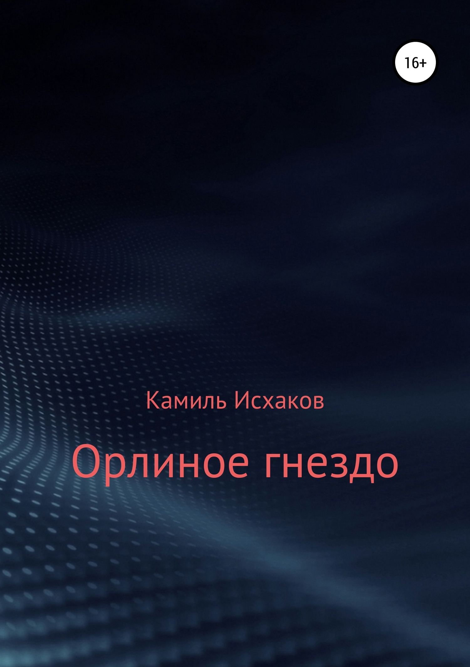 Орлиное гнездо - Камиль Исхаков - Читать книги онлайн | Слушать аудиокниги онлайн | Электронная библиотека books-lib.com