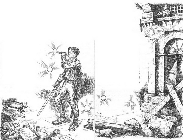 Город крыс Город крыс