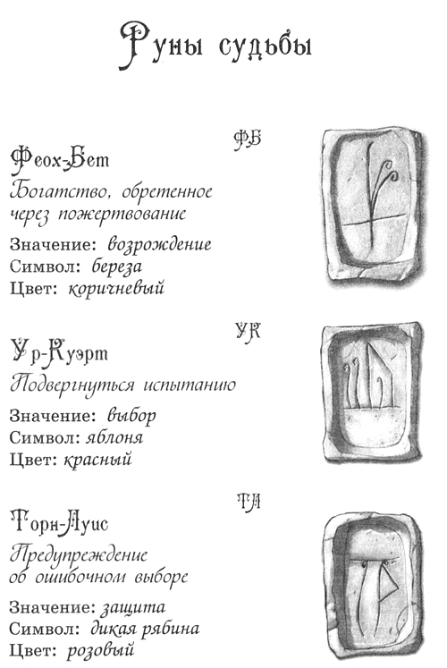 Джено и белая руна золотого сокола Джено и белая руна золотого сокола