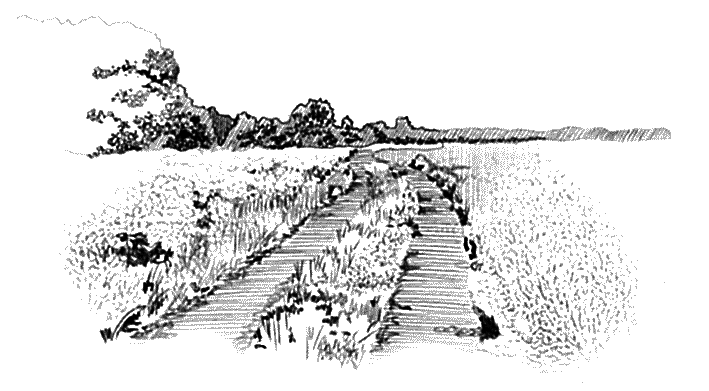 Утерянный рай Утерянный рай