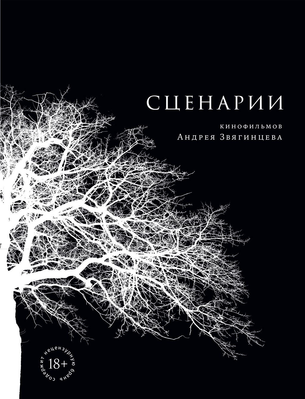 Сценарии кинофильмов Андрея Звягинцева - Андрей Петрович Звягинцев - Читать книги онлайн | Слушать аудиокниги онлайн | Электронная библиотека books-lib.com