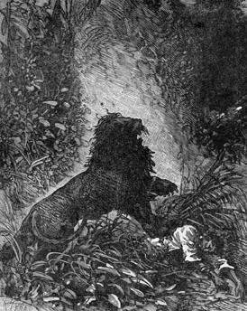 Похитители бриллиантов - Луи Буссенар