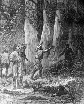 Похитители бриллиантов - Луи Буссенар