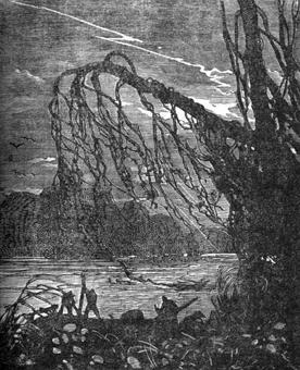 Похитители бриллиантов - Луи Буссенар