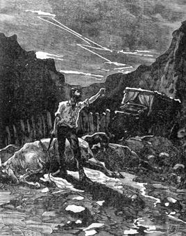 Похитители бриллиантов - Луи Буссенар