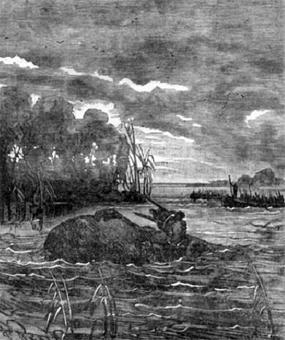 Похитители бриллиантов - Луи Буссенар