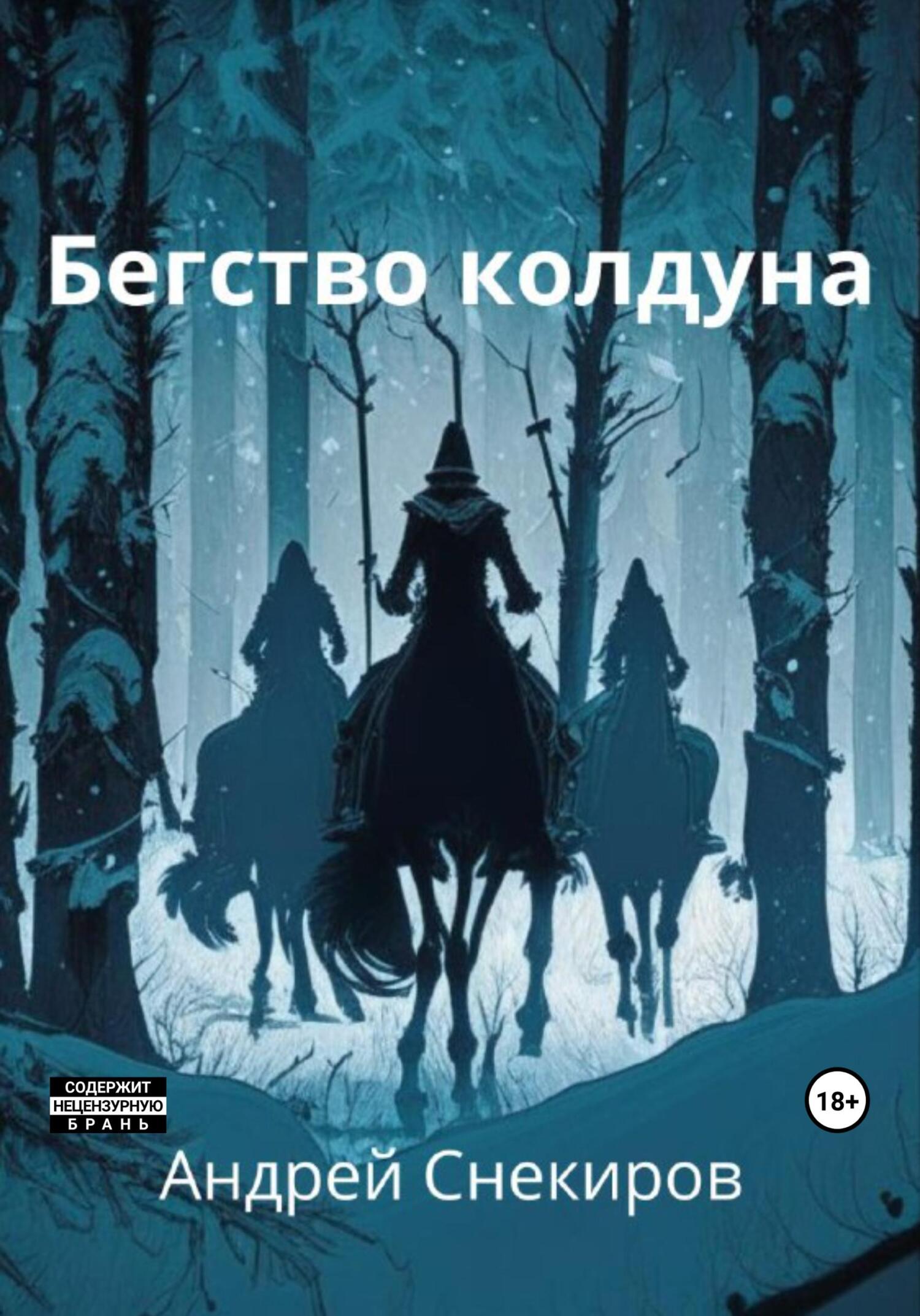 Бегство колдуна - Андрей Снекиров - Читать книги онлайн | Слушать аудиокниги онлайн | Электронная библиотека books-lib.com
