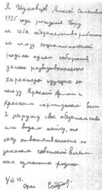 Не Сволочи., или Дети-разведчики в тылу врага Не Сволочи., или Дети-разведчики в тылу врага