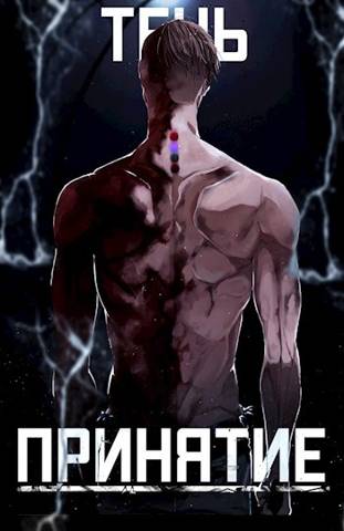 Тень. Принятие - SkillSoul - Читать книги онлайн | Слушать аудиокниги онлайн | Электронная библиотека books-lib.com