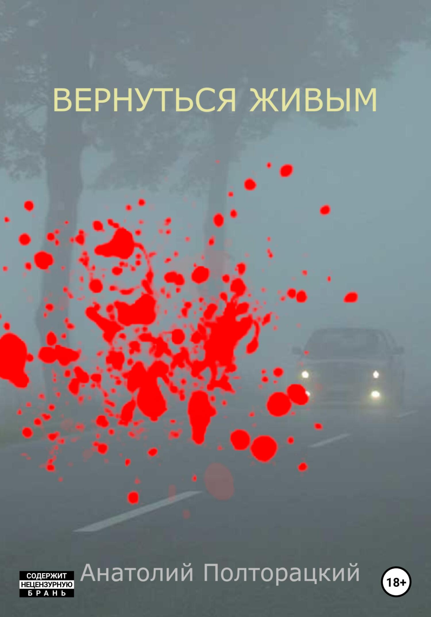 Вернуться живым - Анатолий Полторацкий - Читать книги онлайн | Слушать аудиокниги онлайн | Электронная библиотека books-lib.com