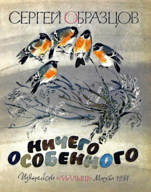 Ничего особенного - Сергей Владимирович Образцов - Читать книги онлайн | Слушать аудиокниги онлайн | Электронная библиотека books-lib.com