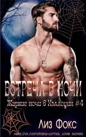 Встреча в ночи - Лиз Фокс - Читать книги онлайн | Слушать аудиокниги онлайн | Электронная библиотека books-lib.com