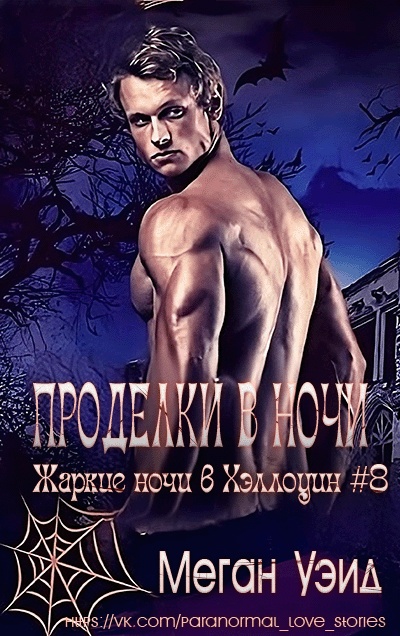 Проделки в ночи - Меган Уэйд - Читать книги онлайн | Слушать аудиокниги онлайн | Электронная библиотека books-lib.com
