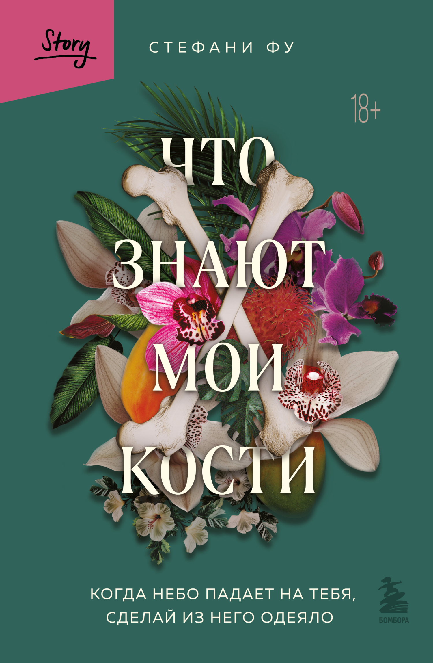 Что знают мои кости. Когда небо падает на тебя, сделай из него одеяло - Стефани Фу - Читать книги онлайн | Слушать аудиокниги онлайн | Электронная библиотека books-lib.com