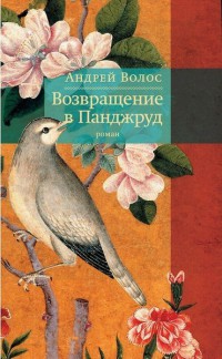 Возвращение в Панджруд - Андрей Волос - Читать книги онлайн | Слушать аудиокниги онлайн | Электронная библиотека books-lib.com