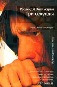 Три секунды - Берге Хелльстрем - Читать книги онлайн | Слушать аудиокниги онлайн | Электронная библиотека books-lib.com