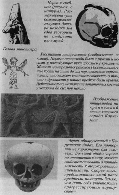 Возвращение Рая на Землю Возвращение Рая на Землю