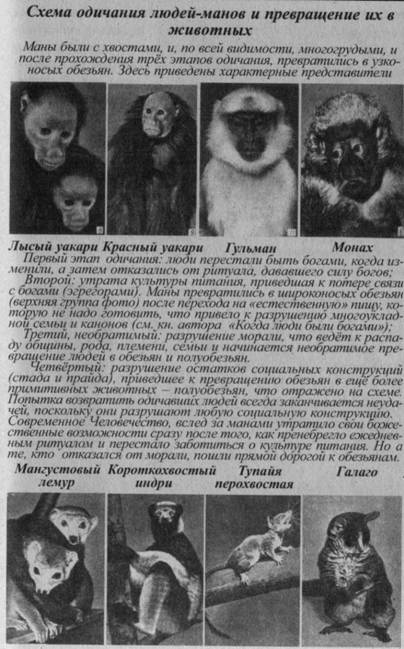 Возвращение Рая на Землю Возвращение Рая на Землю