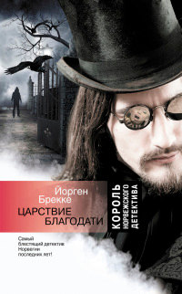 Царствие благодати - Йорген Брекке - Читать книги онлайн | Слушать аудиокниги онлайн | Электронная библиотека books-lib.com