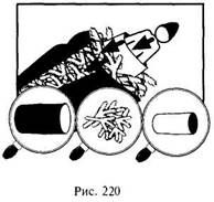 Школа выживания в природных условиях Школа выживания в природных условиях